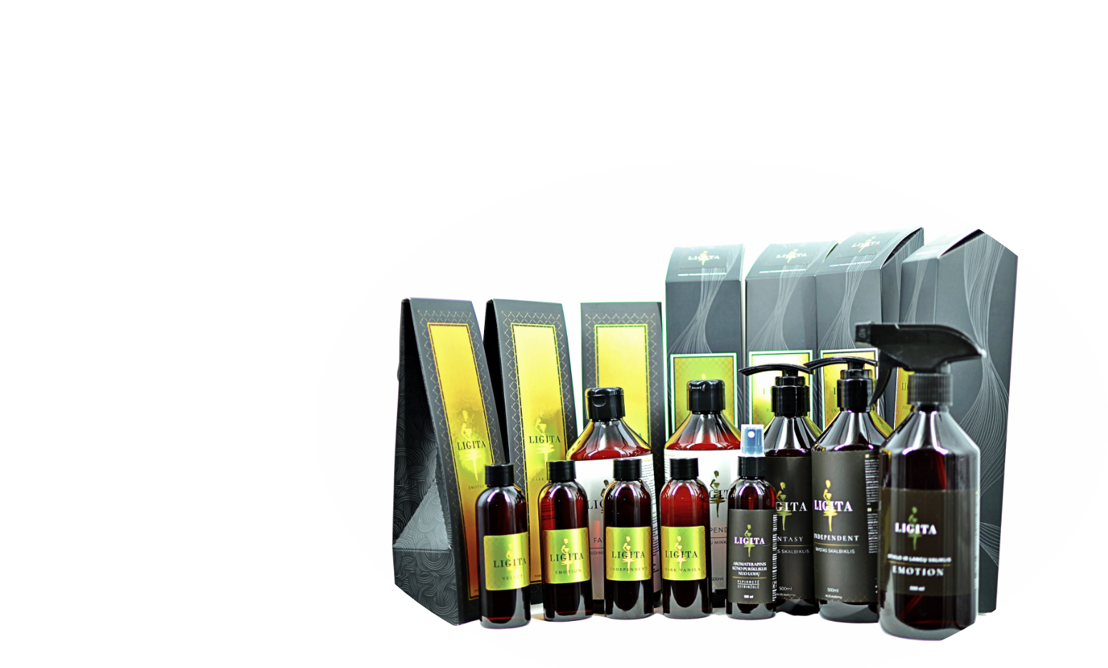 cms-banner-3.jpg